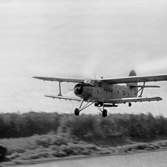 Martiany, samolot „Agrolotu” nad polami PGR-u - lipiec 1976r.   