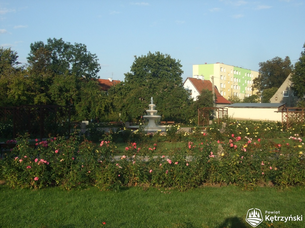 Skwer przy ul. Żeromskiego, "ogród różany" - 2008r.