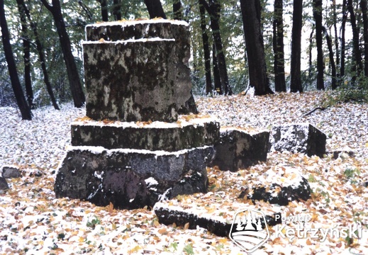 Tołkiny, ruiny pomnika z okresu I wojny światowej w parku dworskim - 24.10.2003r.